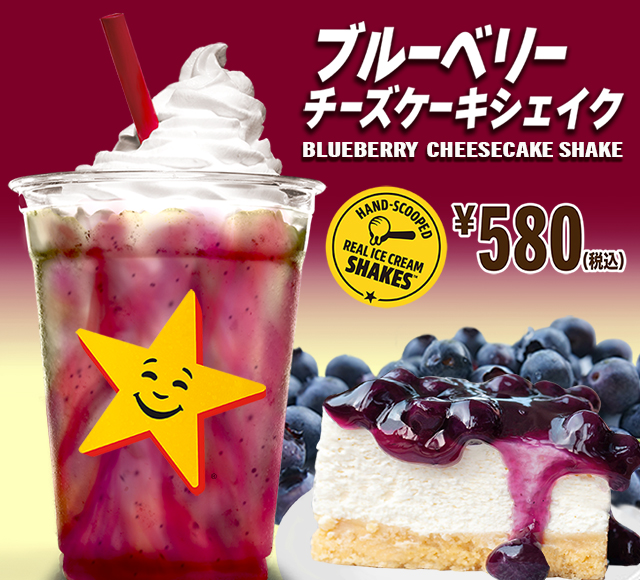 お買い得5kgパック！　ブルーベリーチーズケーキ　スリムシェーカー健康食品